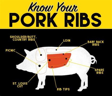 What Animal Do Baby Back Ribs Come From: A Culinary and Biological Exploration