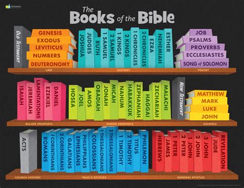 What Bible Has All the Books: A Journey Through Sacred Texts and Unrelated Musings