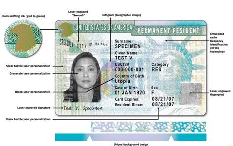 Where Can I Find Travel Document Number: A Journey Through the Labyrinth of Identification